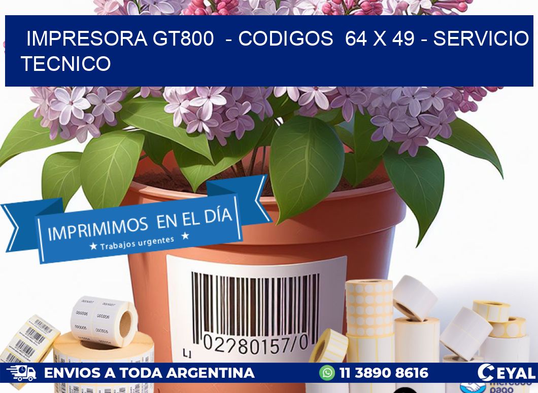 IMPRESORA GT800  – CODIGOS  64 x 49 – SERVICIO TECNICO
