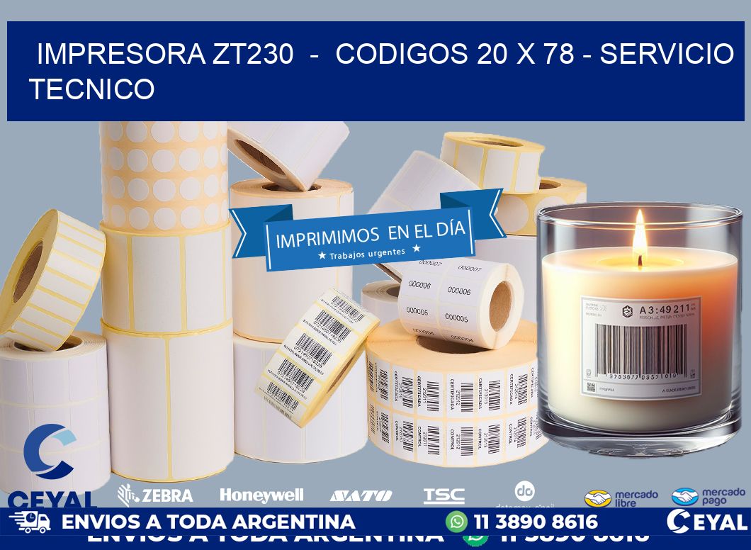 IMPRESORA ZT230  -  CODIGOS 20 x 78 - SERVICIO TECNICO