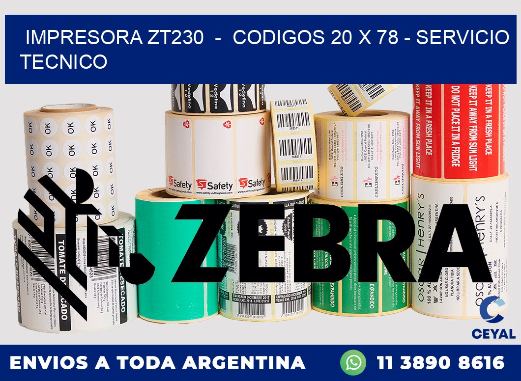 IMPRESORA ZT230  -  CODIGOS 20 x 78 - SERVICIO TECNICO