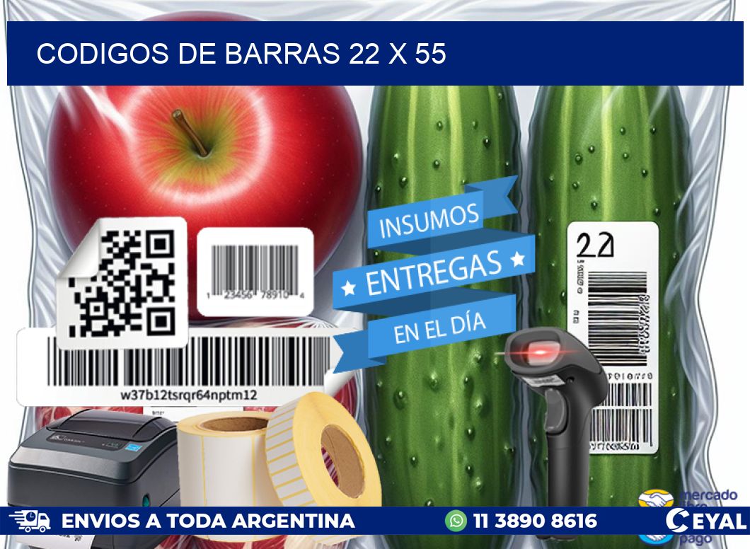 codigos de barras 22 x 55
