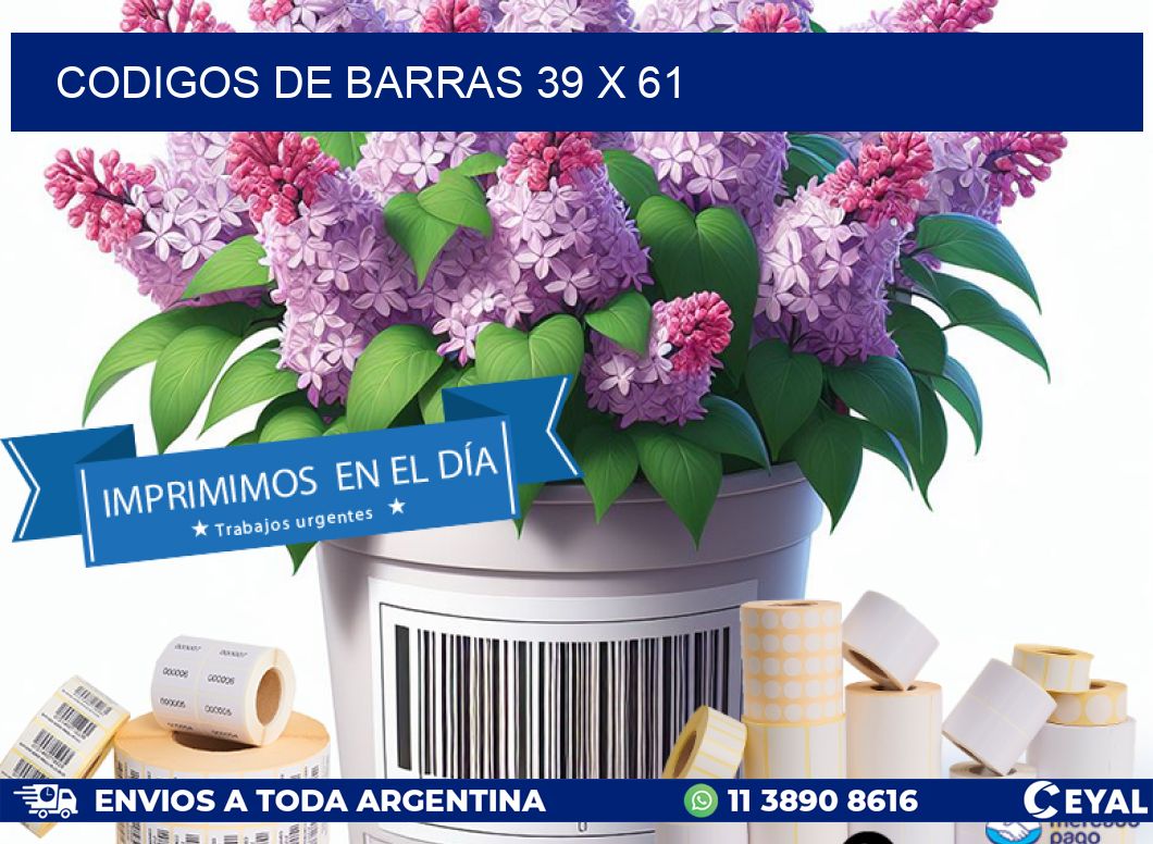 codigos de barras 39 x 61
