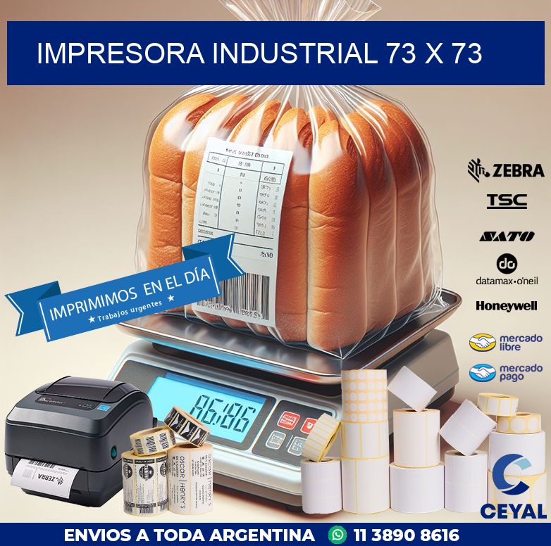 impresora industrial 73 x 73
