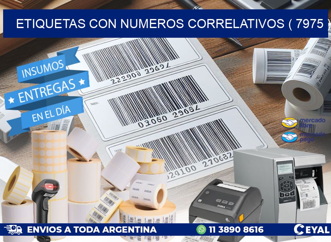 ETIQUETAS CON NUMEROS CORRELATIVOS ( 7975 )