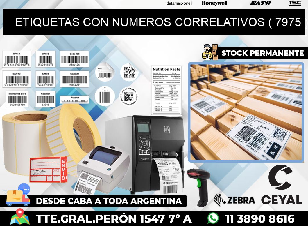 ETIQUETAS CON NUMEROS CORRELATIVOS ( 7975 )