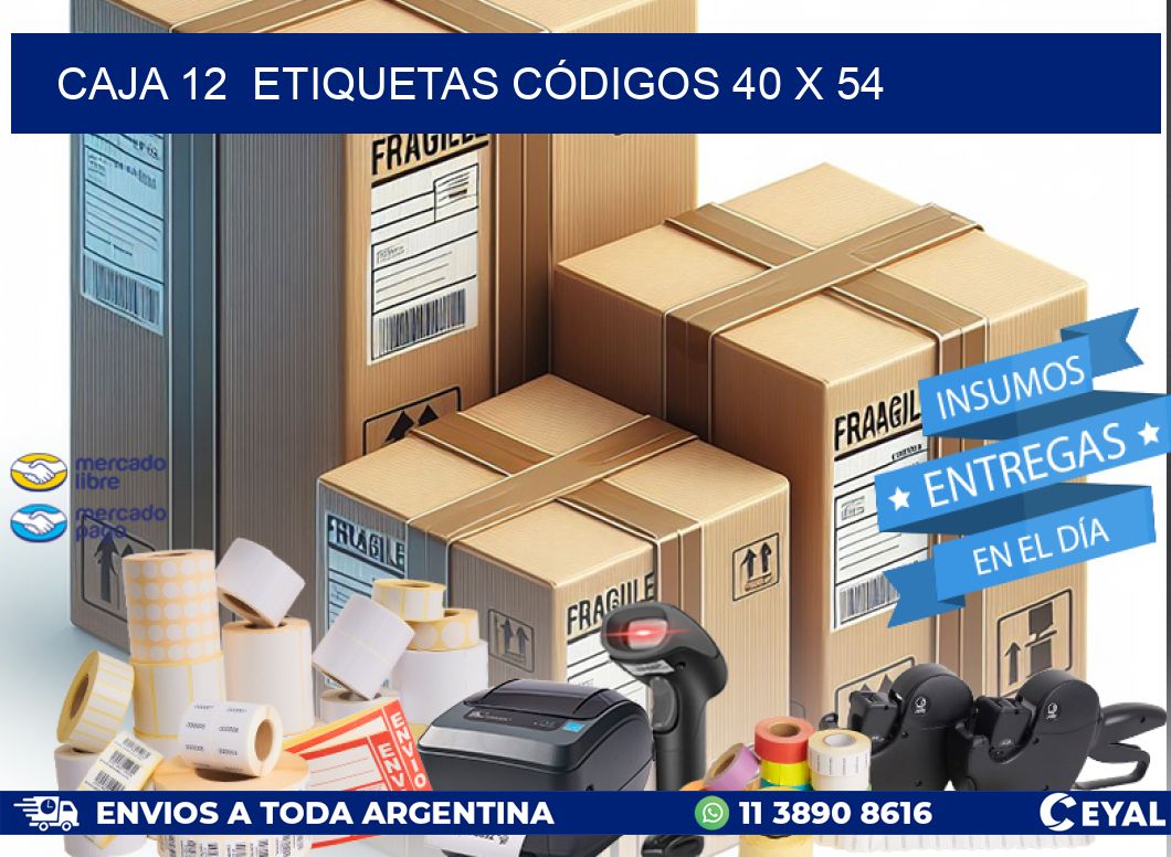 CAJA 12  ETIQUETAS CÓDIGOS 40 x 54