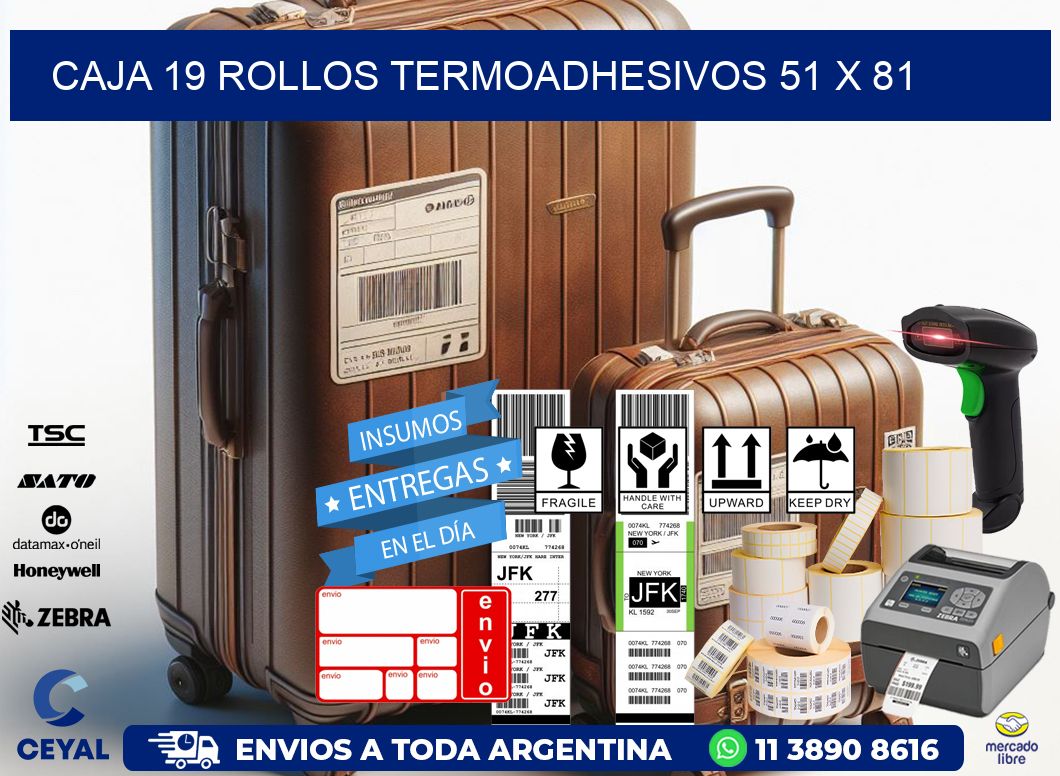 CAJA 19 ROLLOS TERMOADHESIVOS 51 x 81