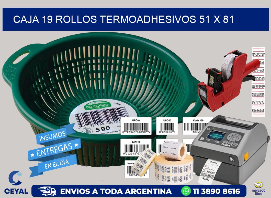 CAJA 19 ROLLOS TERMOADHESIVOS 51 x 81