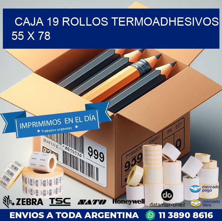 CAJA 19 ROLLOS TERMOADHESIVOS 55 x 78