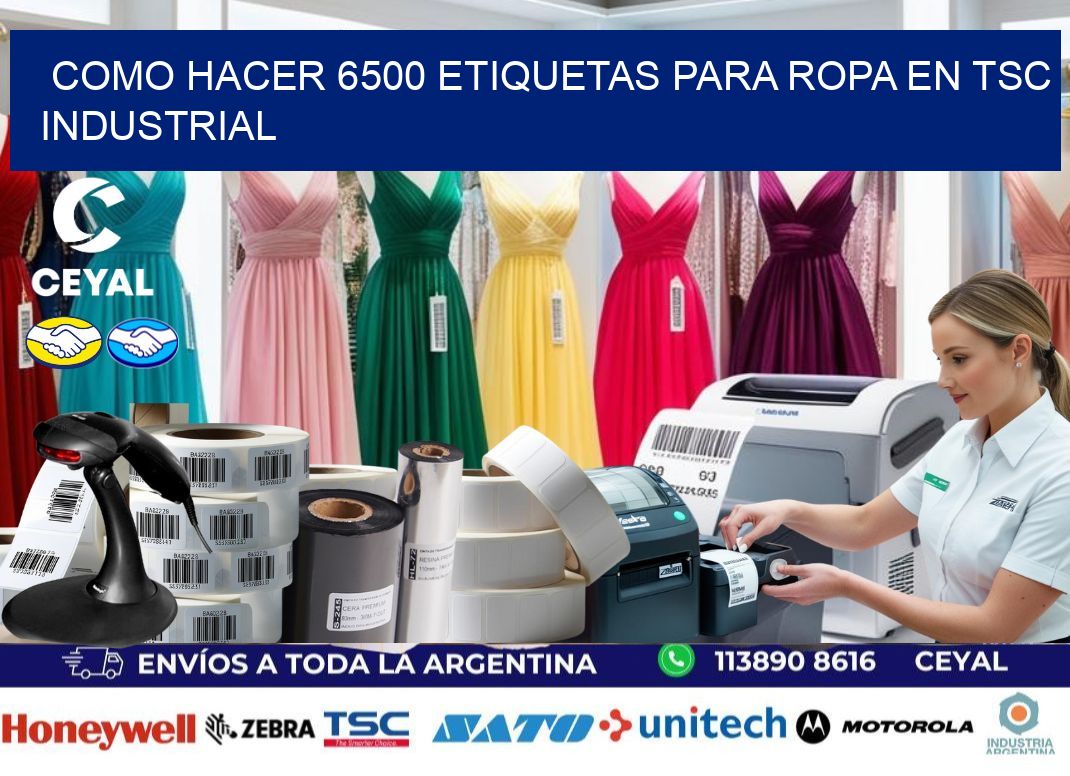 Como hacer 6500 etiquetas para ropa en tsc industrial