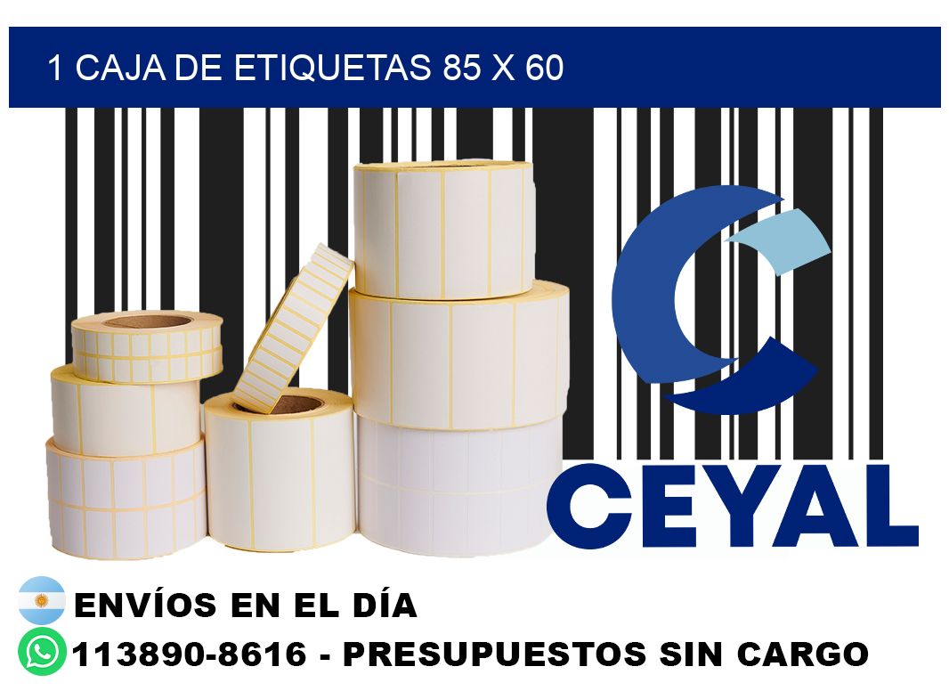 1 caja de etiquetas 85 x 60