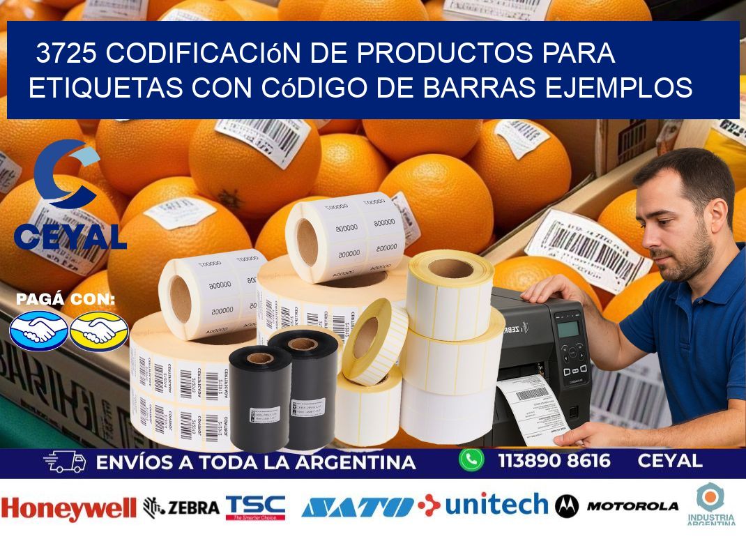 3725 Codificación de productos para etiquetas con código de barras ejemplos