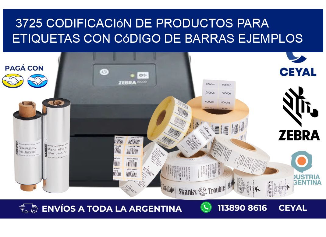 3725 Codificación de productos para etiquetas con código de barras ejemplos