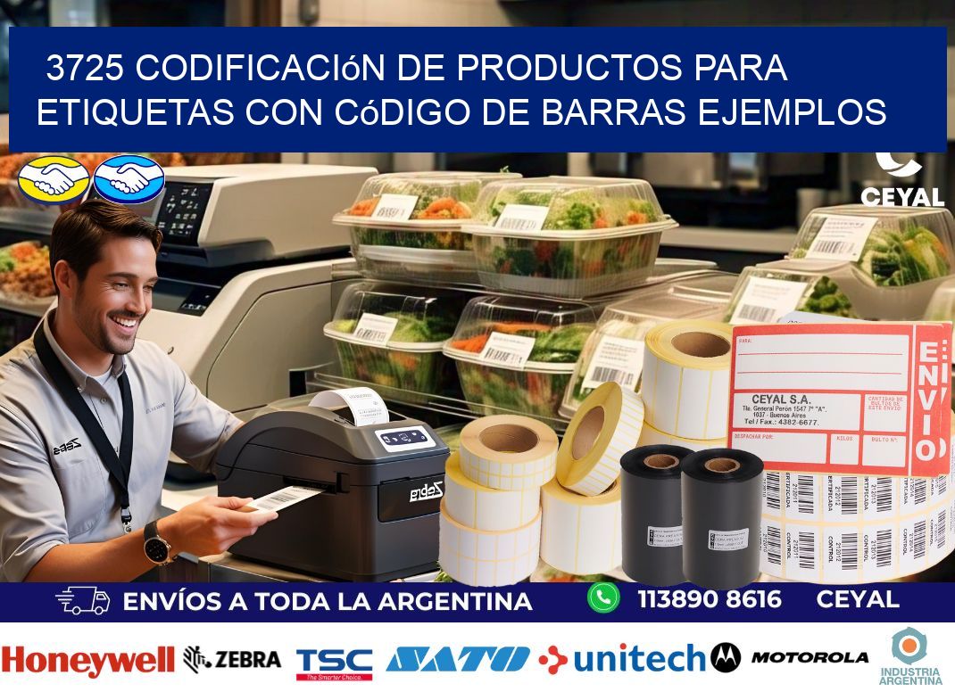 3725 Codificación de productos para etiquetas con código de barras ejemplos