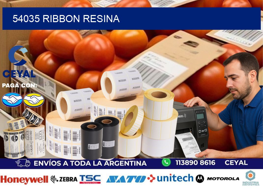 54035 Ribbon resina