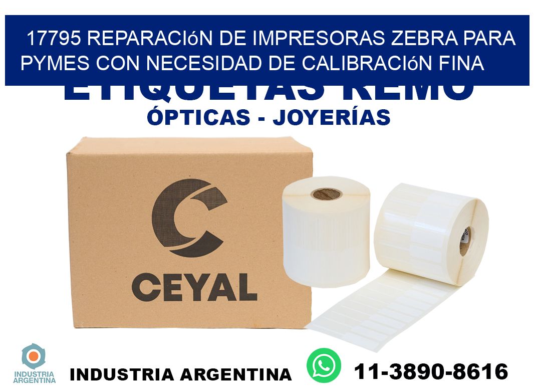 17795 reparación de impresoras zebra para pymes con necesidad de calibración fina