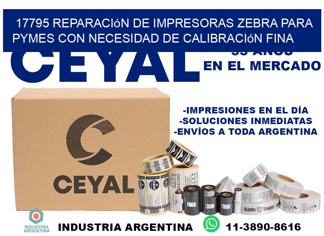 17795 reparación de impresoras zebra para pymes con necesidad de calibración fina
