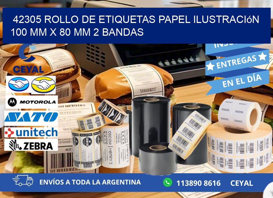 42305 Rollo de Etiquetas Papel Ilustración 100 mm x 80 mm 2 Bandas