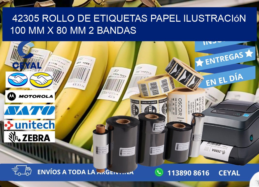 42305 Rollo de Etiquetas Papel Ilustración 100 mm x 80 mm 2 Bandas