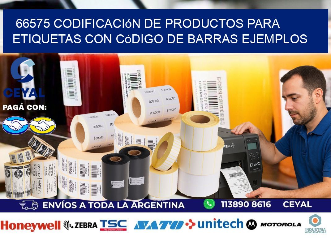66575 Codificación de productos para etiquetas con código de barras ejemplos