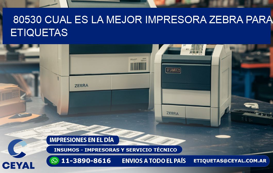 80530 cual es la mejor impresora zebra para etiquetas