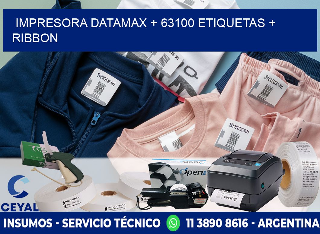 impresora DATAMAX + 63100 etiquetas + ribbon