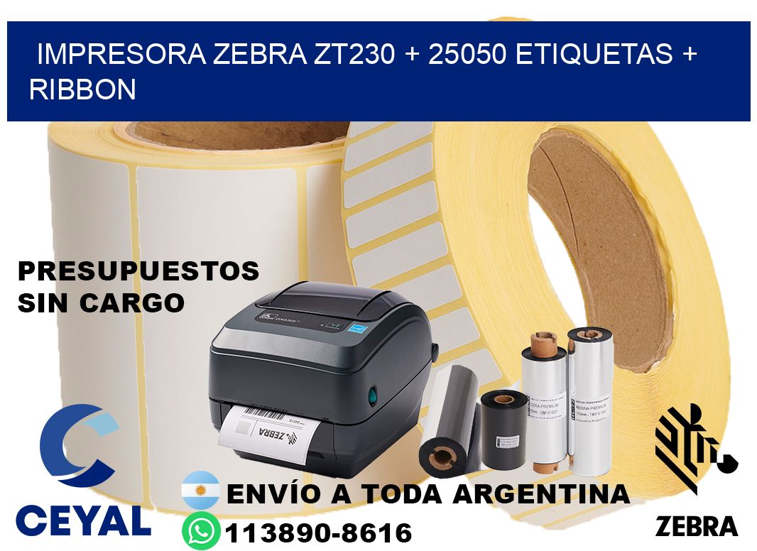 impresora zebra zt230 + 25050 etiquetas + ribbon
