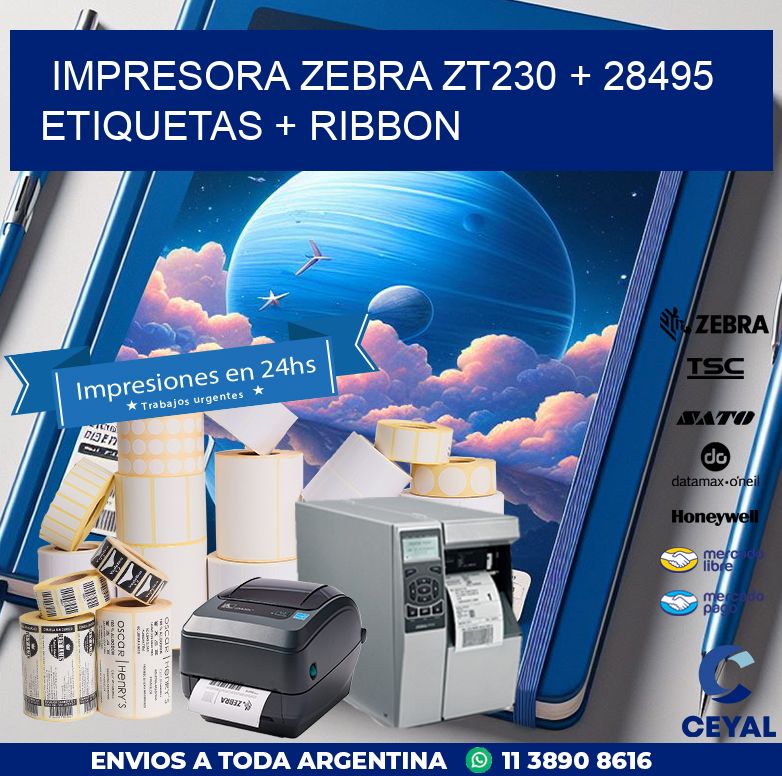 impresora zebra zt230 + 28495 etiquetas + ribbon