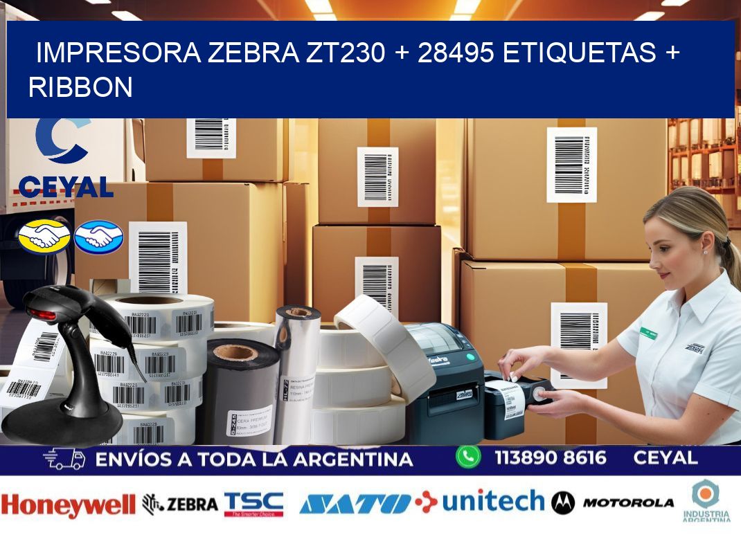 impresora zebra zt230 + 28495 etiquetas + ribbon