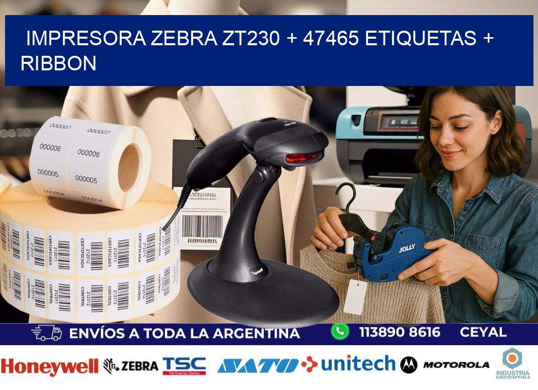 impresora zebra zt230 + 47465 etiquetas + ribbon