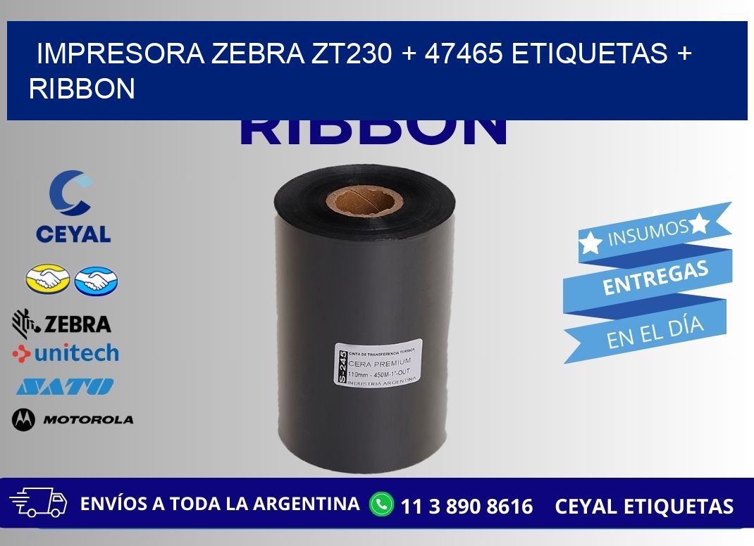 impresora zebra zt230 + 47465 etiquetas + ribbon