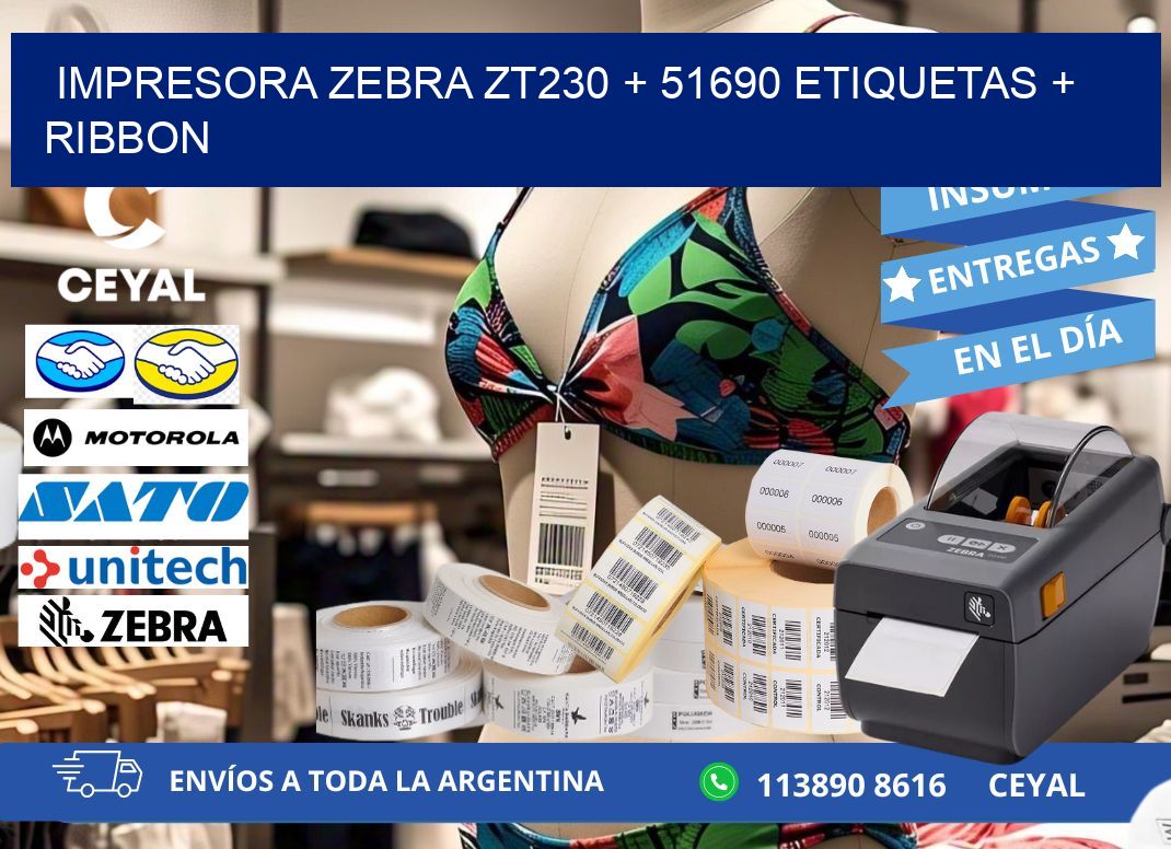 impresora zebra zt230 + 51690 etiquetas + ribbon