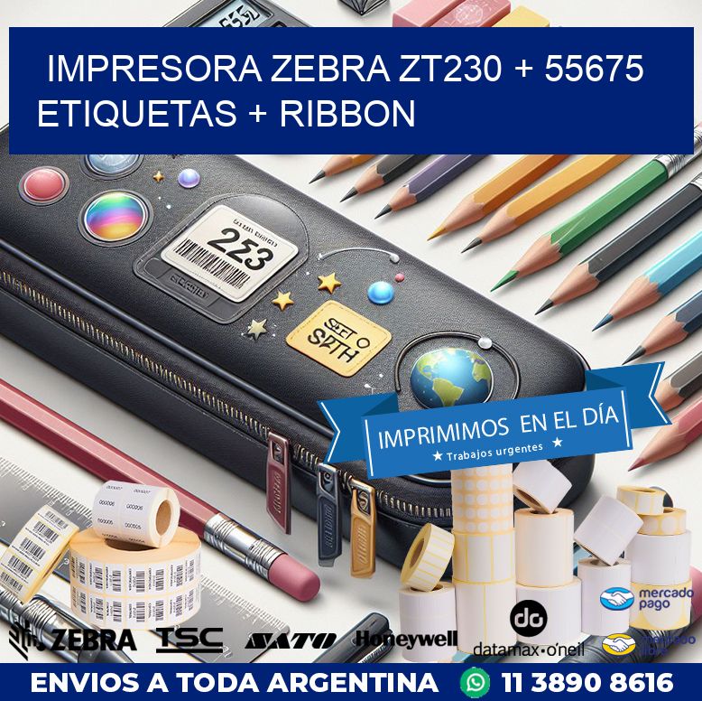 impresora zebra zt230 + 55675 etiquetas + ribbon