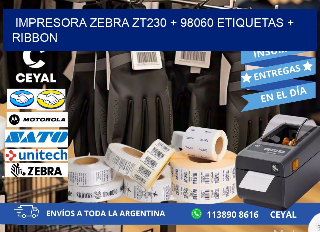 impresora zebra zt230 + 98060 etiquetas + ribbon