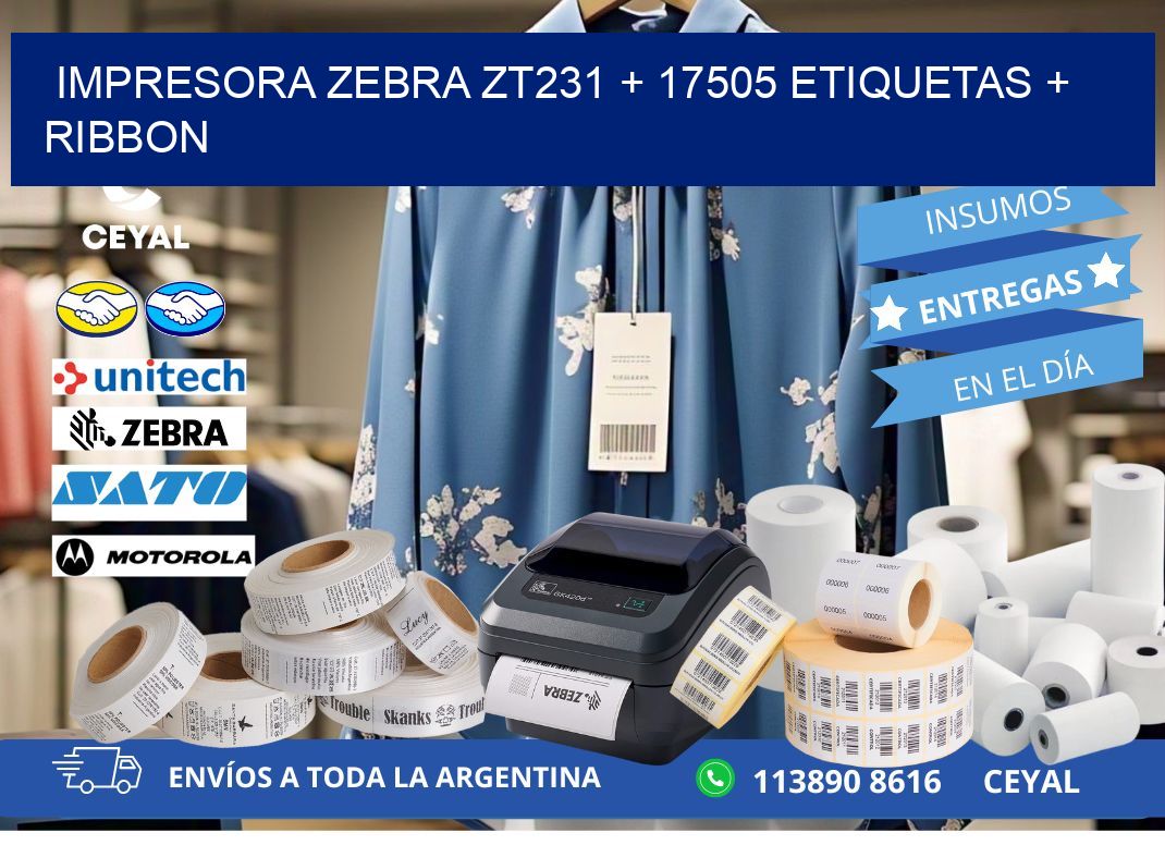impresora zebra zt231 + 17505 etiquetas + ribbon