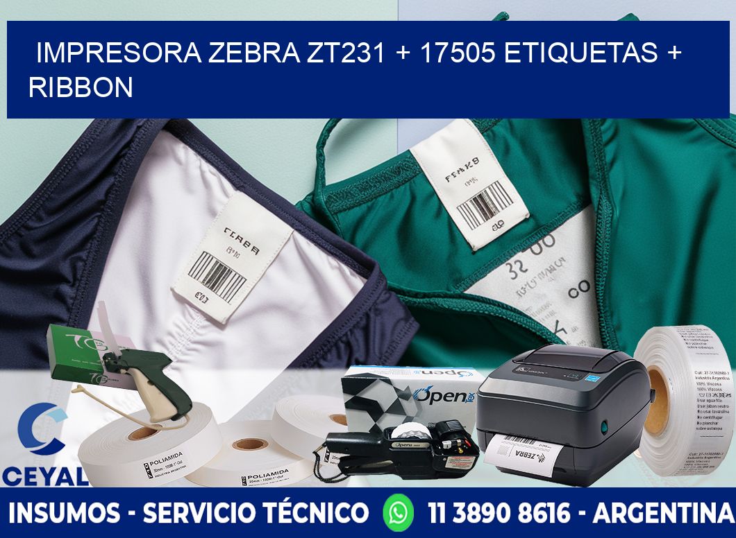 impresora zebra zt231 + 17505 etiquetas + ribbon