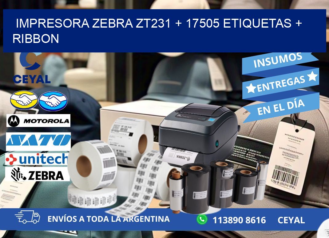 impresora zebra zt231 + 17505 etiquetas + ribbon