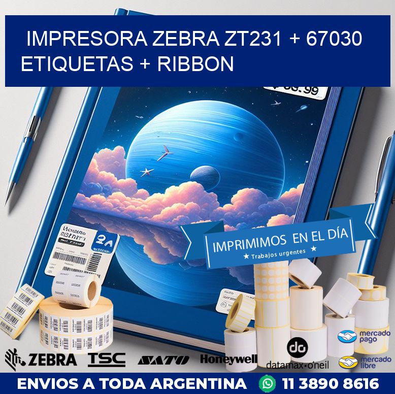 impresora zebra zt231 + 67030 etiquetas + ribbon
