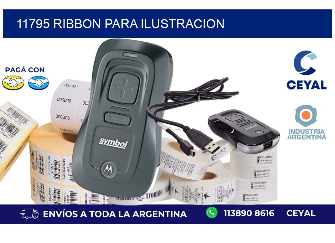 11795 ribbon para ilustracion