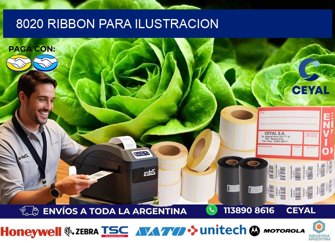 8020 ribbon para ilustracion