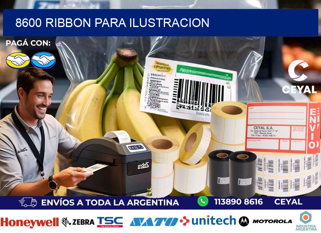8600 ribbon para ilustracion