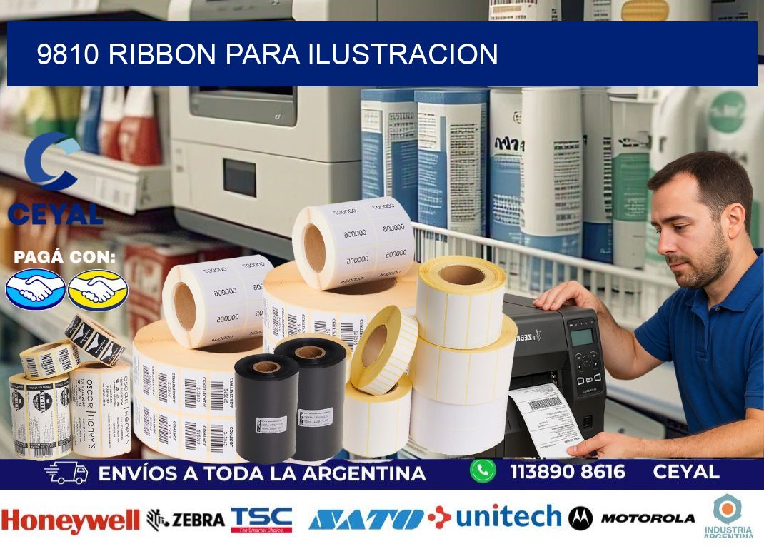 9810 ribbon para ilustracion