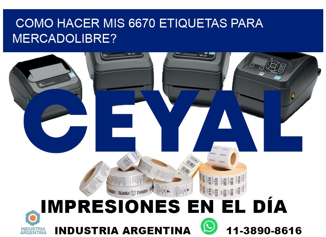 como hacer mis 6670 etiquetas para mercadolibre?