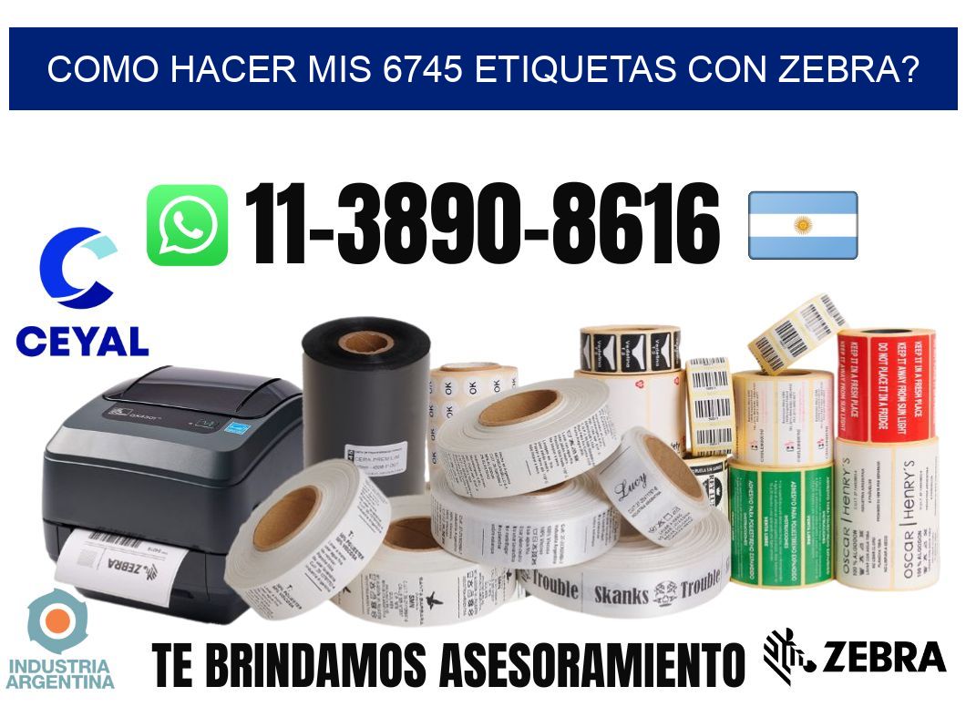 como hacer mis 6745 etiquetas con zebra?