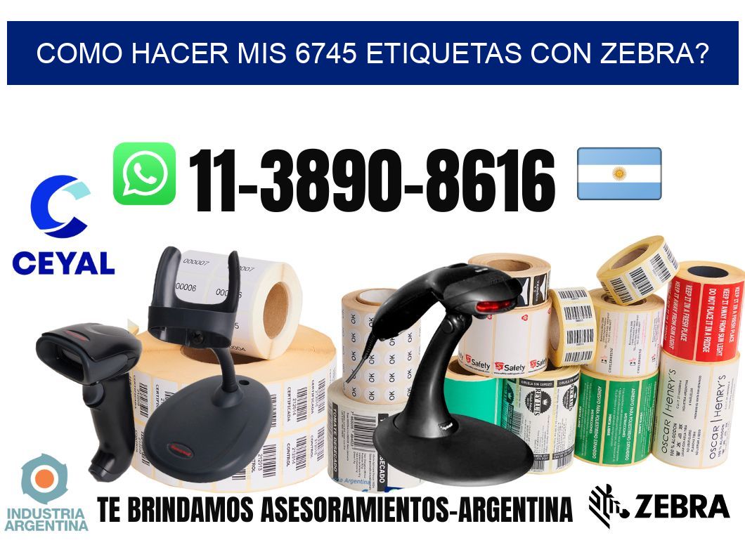 como hacer mis 6745 etiquetas con zebra?