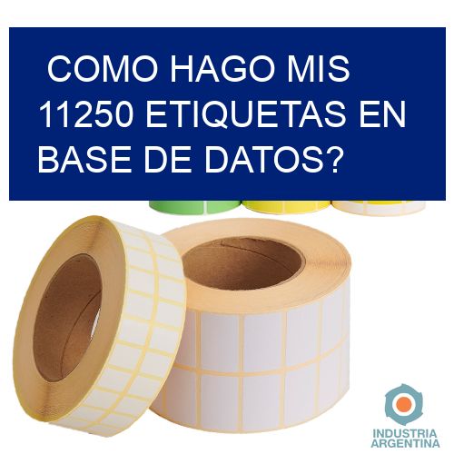 como hago mis 11250 etiquetas en base de datos?