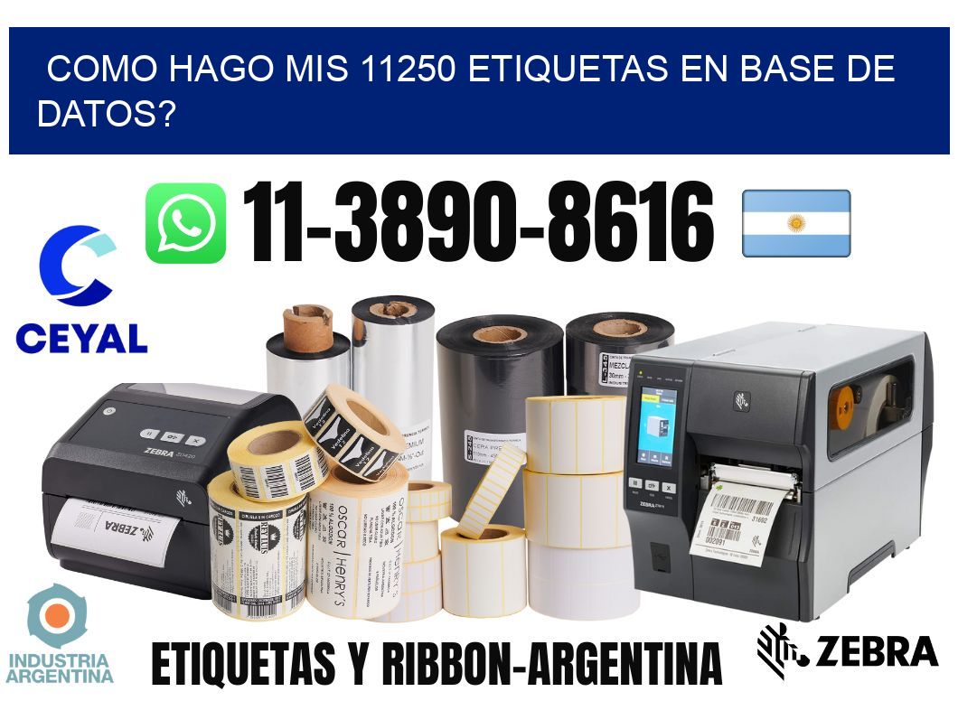 como hago mis 11250 etiquetas en base de datos?