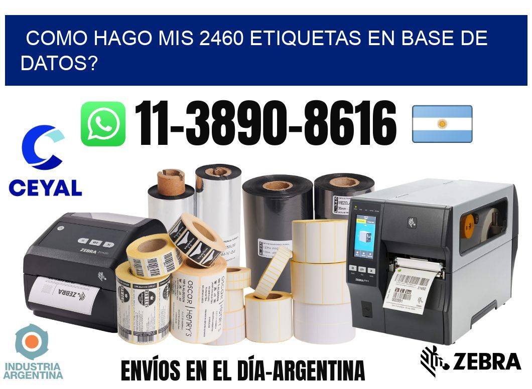 como hago mis 2460 etiquetas en base de datos?