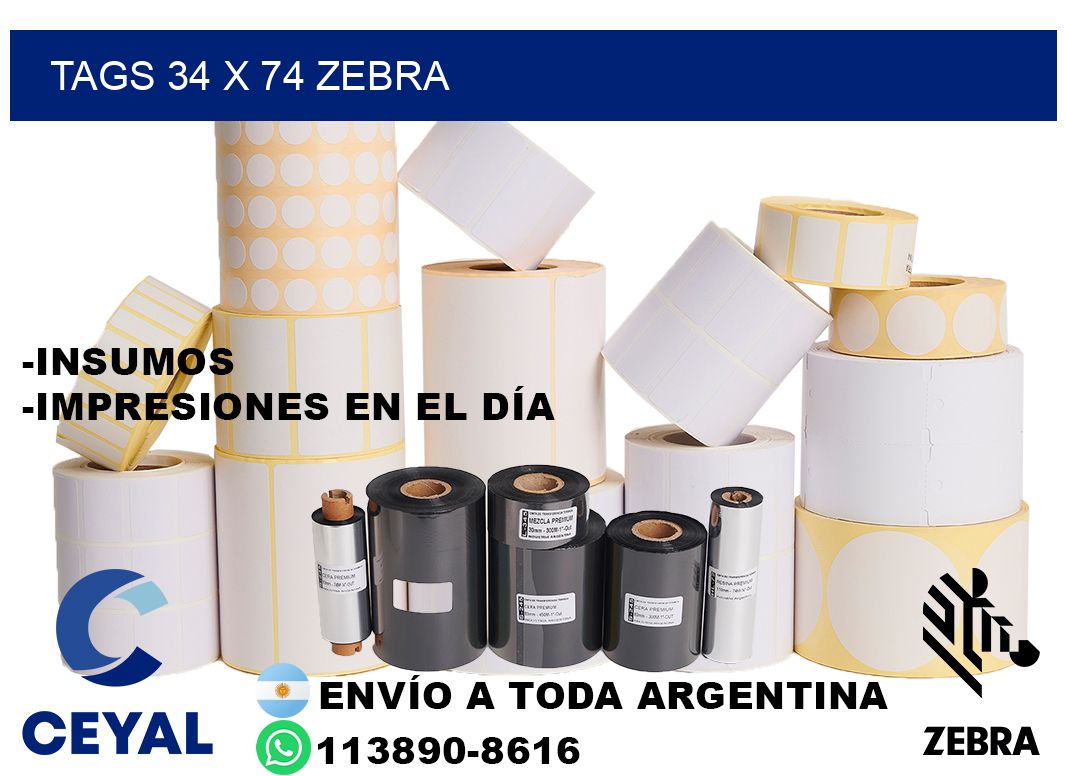 tags 34 x 74 zebra
