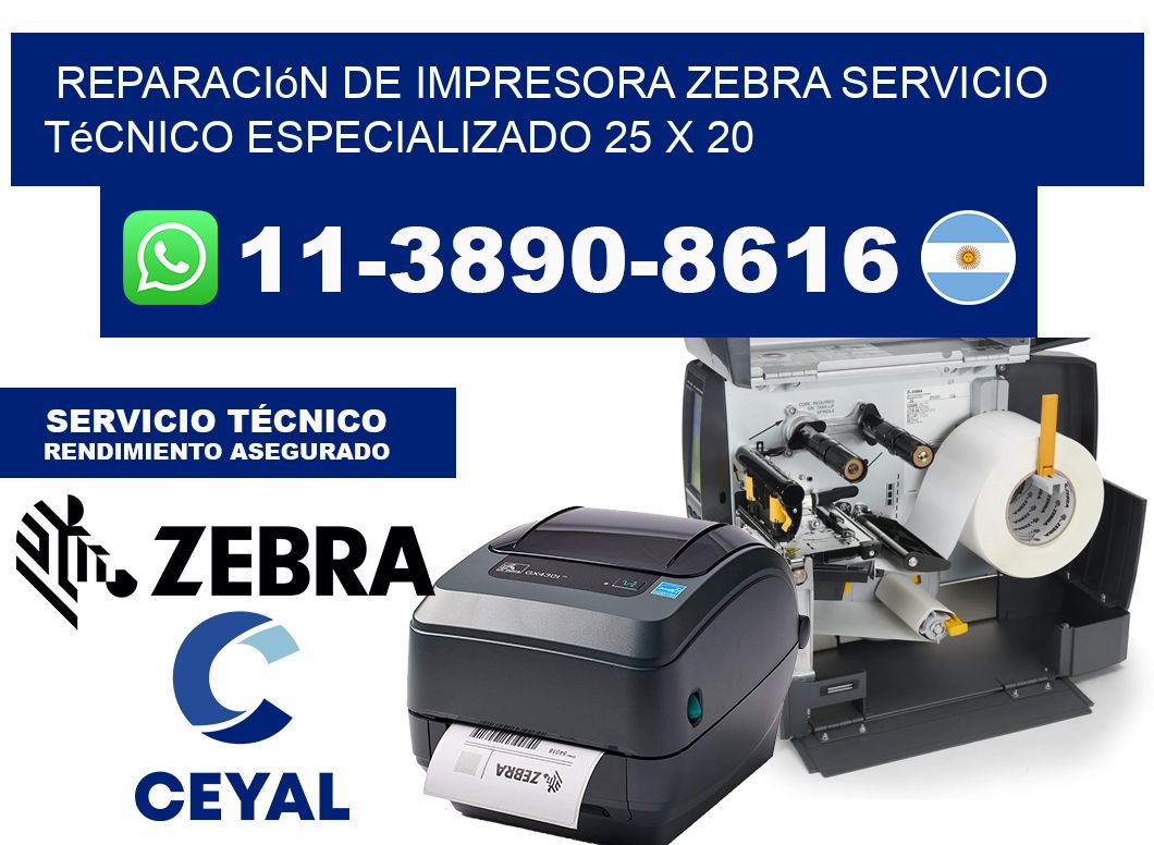 Reparación de Impresora Zebra Servicio Técnico Especializado 25 x 20