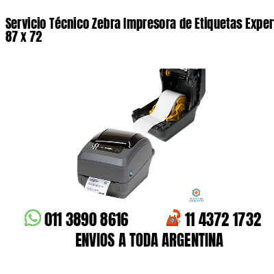 Servicio Técnico Zebra Impresora de Etiquetas Experto 87 x 72